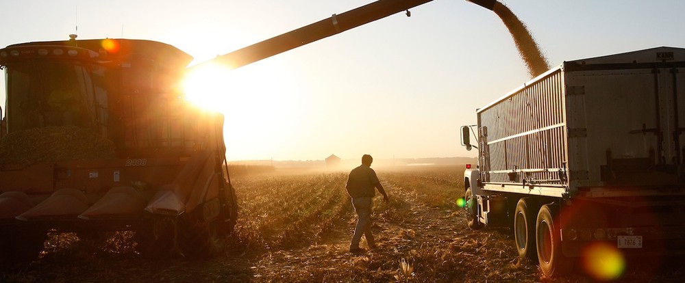 How can farmers, agribusinesses prepare for success in 2017? | The ...